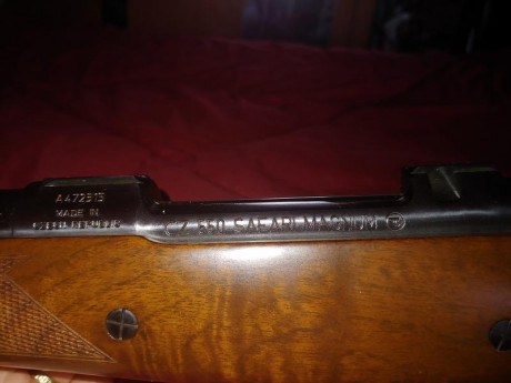 ...se llama ahorrar para un rifle de largo alcance, de muy largo alcance. Si ya sé que tuve un Vanguard 50