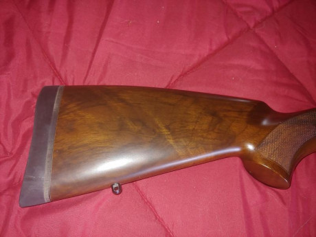 ...se llama ahorrar para un rifle de largo alcance, de muy largo alcance. Si ya sé que tuve un Vanguard 62