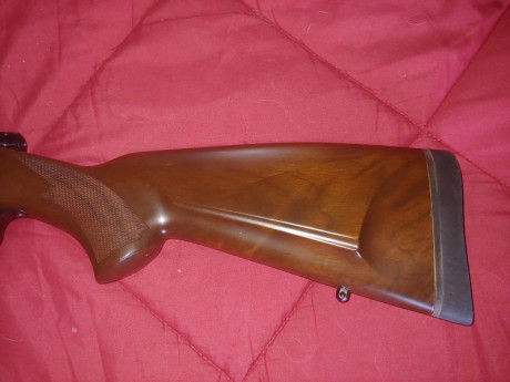 ...se llama ahorrar para un rifle de largo alcance, de muy largo alcance. Si ya sé que tuve un Vanguard 61