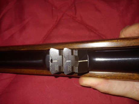 ...se llama ahorrar para un rifle de largo alcance, de muy largo alcance. Si ya sé que tuve un Vanguard 60
