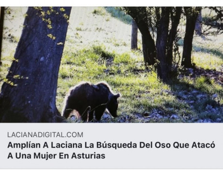 https://www.ondacero.es/emisoras/asturias/noticias/mujer-herida-muy-grave-ataque-oso-sonande_2021053160b46b26fcfa810001e23e0c.html 30
