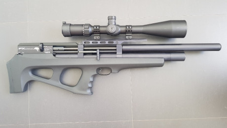 Vendo Fx Wildcat 5.5 impoluta sin ninguna marca, ya que no habrá tirado ni 2 cajas de balines. La vendo 02