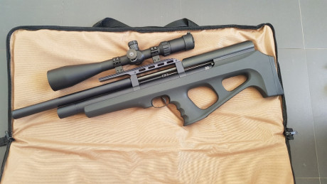 Vendo Fx Wildcat 5.5 impoluta sin ninguna marca, ya que no habrá tirado ni 2 cajas de balines. La vendo 01
