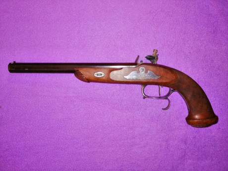 Vendo pistola Pedersoli LePage de chispa, ideal para modalidad Cominazzo.

Perfecto estado de madera y 02