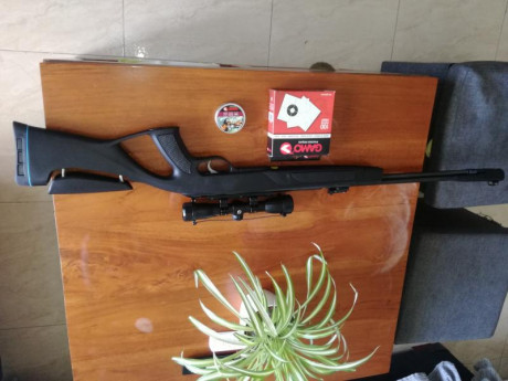 Vendo carabina gamo CFR WHISPER IGT es piston gas de cañon fijo muy precisa solo dispare 15 balines dentro 01