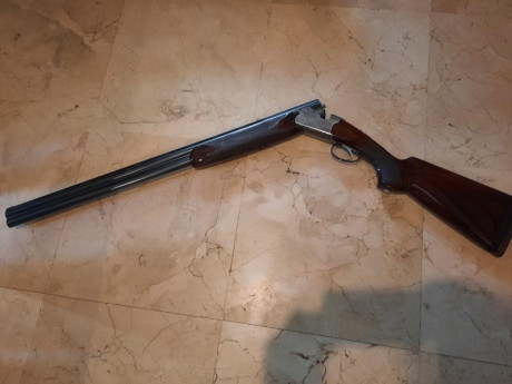 Se vende escopeta Beretta S58, de 75 cm de cañon, 1 y 3 estrellas, selector de tiro, tanto para sportin 01