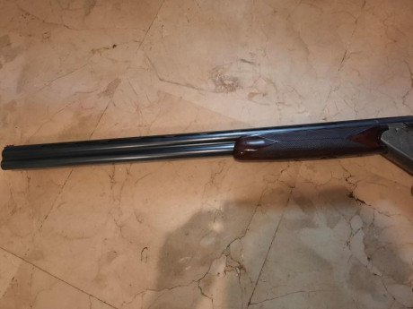 Se vende escopeta Beretta S58, de 75 cm de cañon, 1 y 3 estrellas, selector de tiro, tanto para sportin 00