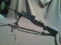 Tengo una duda. Aunque tengo bastante olvidada la caza, se me ha metido entre ceja y ceja ,un winchester 31