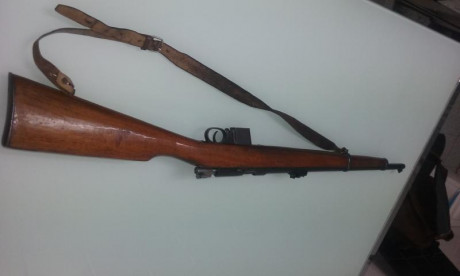Vendo carabina destroyer del 9 largo. El arma está en León. Si se recoge en mano regalo munición. Precio 02