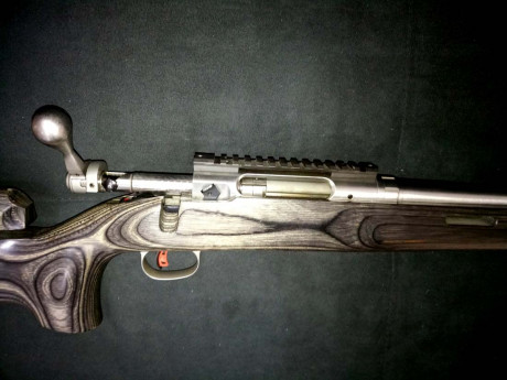 En venta rifle Savage "Palma" 308w. perfecto estado de conservación.

Tiene carril picatiny, 10