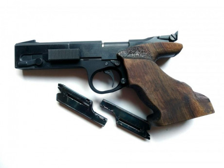  pongo en el encabezamiento, 01