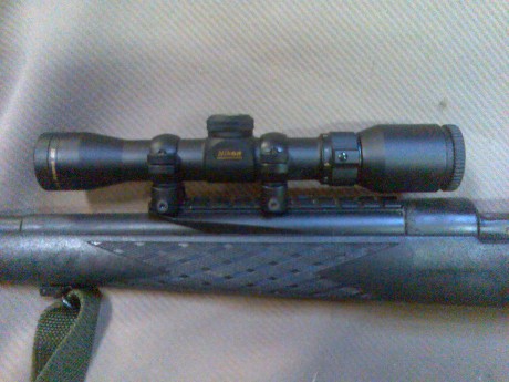 Tengo una duda. Aunque tengo bastante olvidada la caza, se me ha metido entre ceja y ceja ,un winchester 60