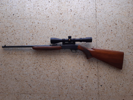 Vendo carabina desmontable Browning calibre 22 lr con rosca homologada y visor gamo 3-9x40.
Se puede ver 01