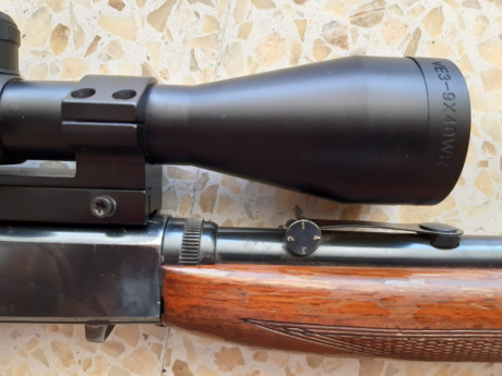 Vendo carabina desmontable Browning calibre 22 lr con rosca homologada y visor gamo 3-9x40.
Se puede ver 10