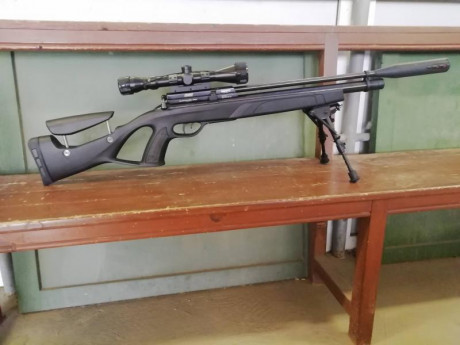 Para hacer espacio en casa y porque no la uso pongo en venta Gamo Coyote Whisper 4,5 con  mira Gamo 3-9x40 02