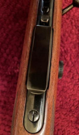 Bueno chicos, pues hoy he recogido al "abuelo", curiosmente tiene los mismos años que yo (61), 10