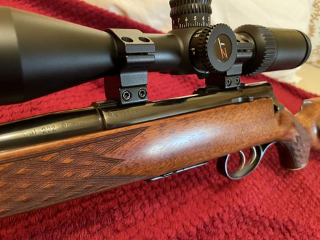 Bueno chicos, pues hoy he recogido al "abuelo", curiosmente tiene los mismos años que yo (61), 22