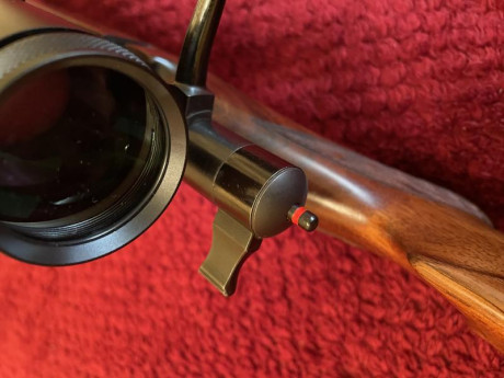 Bueno chicos, pues hoy he recogido al "abuelo", curiosmente tiene los mismos años que yo (61), 21