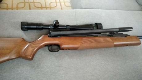 Pues eso vendo esta magnífica carabina comprada hace menos de un año y aunque me cuesta muchísimo desacerme 81