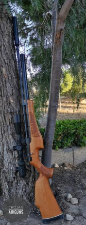 Hola
Después de probar con mi primer pcp una onix k2 en cal 22 ahora quiero dar el siguiente paso. 
Y 130