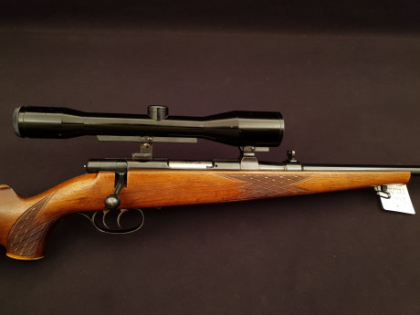 Bueno chicos, pues hoy he recogido al "abuelo", curiosmente tiene los mismos años que yo (61), 141