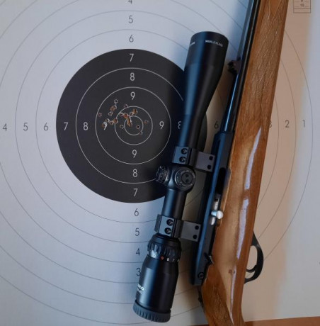 Carabina semiautomática, con selector de tiro a tiro, en perfecto estado y muy precisa.
Esta arma se popularizó 01