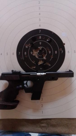 Buenas noches:

Llevo poco tiempo en este deporte y estoy pensando en comprar una pistola de calibre 32 10