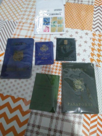  EN RECUERDO Y HOMENAJE A LOS QUE YA NO ESTÁN. 

Si pones en  GOOGLE    PASAPORTES EN LA MEMORIA   da 110