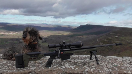 Buenos días . Un amigo vende un chasis ORYX  para acción larga , está en perfecto estado de color verde 01