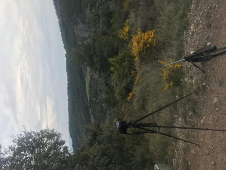 Viendo el hilo de monterias de la Comunidad Valenciana, abro este hilo por si alguna colla / sociedad 161