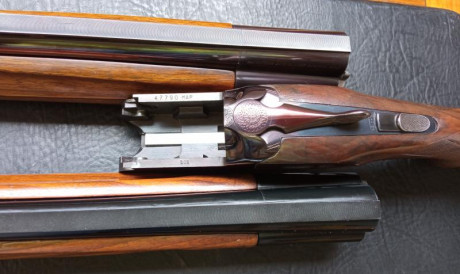 RESERVADA
Vendo PERAZZI SC1
DOBLE juego de cañones, 71 ***/1 y 74 **/*
DOBLE juego de guardamanos, uno 12