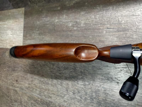Se Vende CZ 557 varmit, calibre  308w  unico propietario, entre  250-275  tiros en campo de tiro , nunca 00