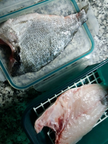 Hoy para comer acelgas hervidas y chuletón de vaca gallega vieja con seis semanas de maduración en cámara 41