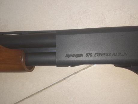 Vendo remington 870 con cañón largo de caza menor no más de 50 disparos,prácticamente nueva
300 más portes 01