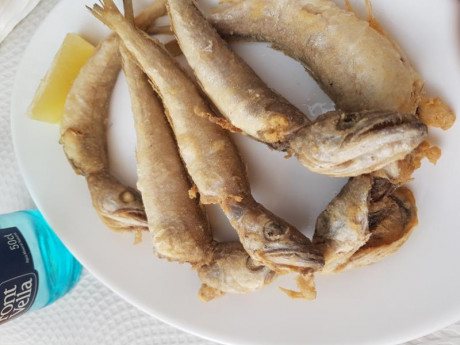 Hoy para comer acelgas hervidas y chuletón de vaca gallega vieja con seis semanas de maduración en cámara 40