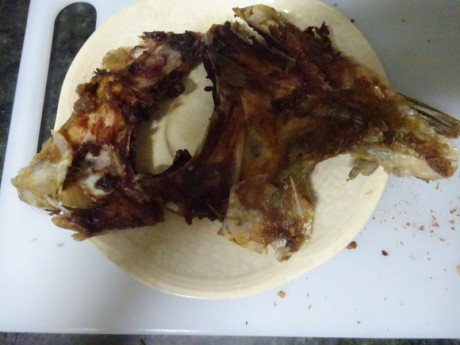 Hoy para comer acelgas hervidas y chuletón de vaca gallega vieja con seis semanas de maduración en cámara 120