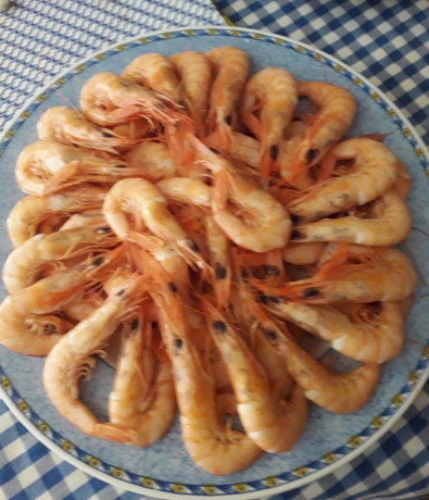 Hoy para comer acelgas hervidas y chuletón de vaca gallega vieja con seis semanas de maduración en cámara 131