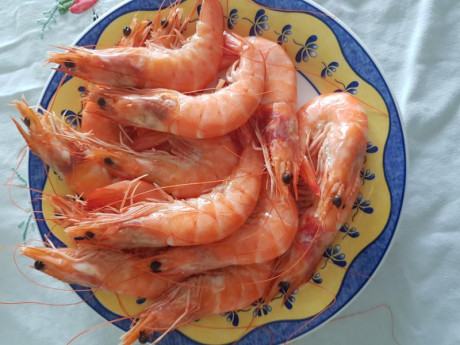 Hoy para comer acelgas hervidas y chuletón de vaca gallega vieja con seis semanas de maduración en cámara 00