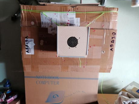 Estoy buscando un portablancos para tirar en casa.
Ha de ser para blancos de 17cm y para usar con pistola 60
