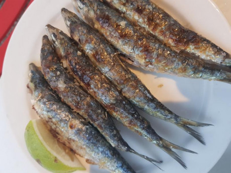 Hoy para comer acelgas hervidas y chuletón de vaca gallega vieja con seis semanas de maduración en cámara 91
