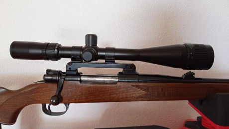 Vendo mi querido rifle en perfectisimo estado. Las maderas estan impecables y tienen una veta muy bonita. 01