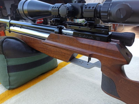 Bueno, para animar el foro un poco, propongo colgar fotos de dianas y arma usada para ello, pudiendo ser 60