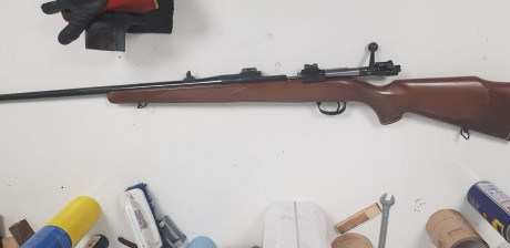 Hola un amigo vende su arma de caza por falta de uso 
Puede incluir visor Shilva 2.5-10 y bases apel por 02