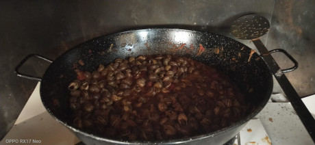Hoy para comer acelgas hervidas y chuletón de vaca gallega vieja con seis semanas de maduración en cámara 50