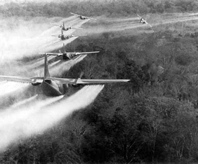 Veinte años después de que la invasión de Estados Unidos echara del poder a los talibanes, Afganistán 90