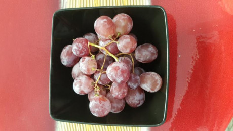 Hoy para comer acelgas hervidas y chuletón de vaca gallega vieja con seis semanas de maduración en cámara 122