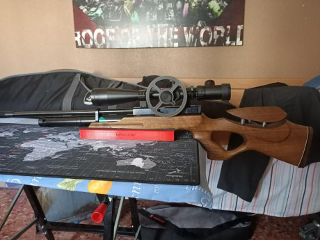 Vendo hw100 del 5,5 con 3 cargadores uno de ellos monotiro gatillo de Florentino seta y base 3D  y varias 01