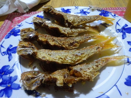 Hoy para comer acelgas hervidas y chuletón de vaca gallega vieja con seis semanas de maduración en cámara 141