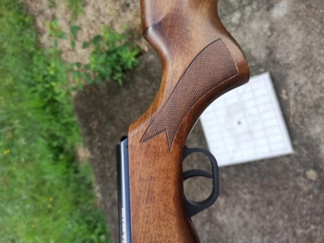 Hola, vendo mi cometa Fénix calibre 5.5 en muy buen estado,es de los primeros modelos, sin la fea bocacha 22