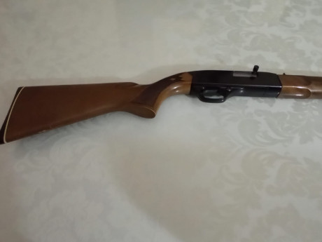 Se vende carabina Winchester 190

Marca WINCHESTER
Modelo 190
Calibre 22 LR
Cañón de 52 cm
Cargador por 02
